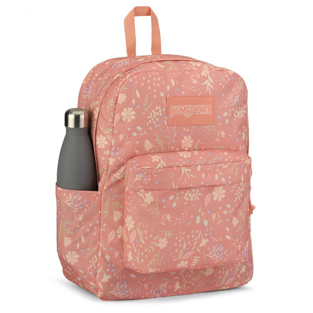 Sac à Dos Scolaire JanSport SuperBreak? Plus Rose | NCI-41621236